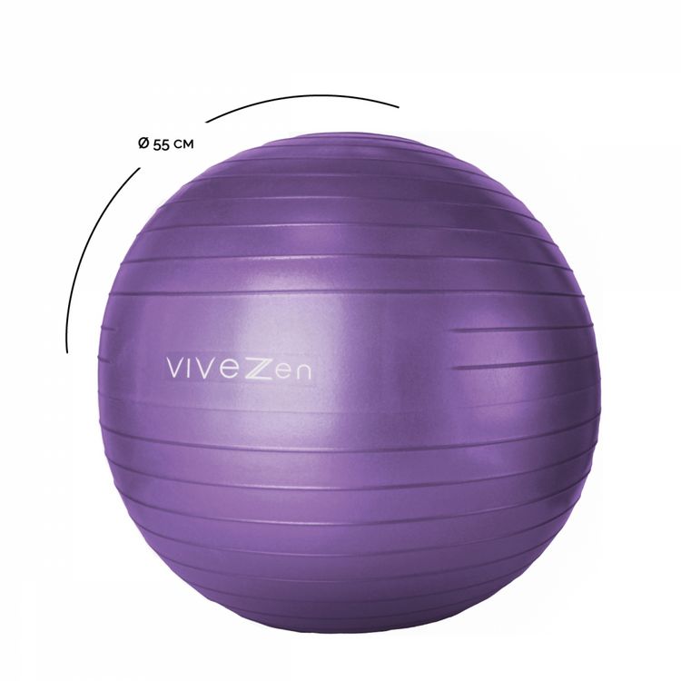 VIVEZEN Ballon de yoga, fitness, gymnastique - Diam 55 cm VIVEZEN Ballon De Yoga, Fitness, Gymnastique - Diam 55 Cm -SPEEDO SHOP unnamed file 651