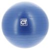 TREMBLAY Ballon Tremblay Gym Ball 55 Cm Bleu 32499 2 TREMBLAY Ballon Tremblay Gym Ball 55 Cm Bleu 32499 -SPEEDO SHOP unnamed file 767