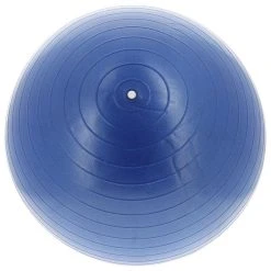 TREMBLAY Ballon Tremblay Gym Ball 55 Cm Bleu 32499 -SPEEDO SHOP unnamed file 768