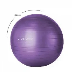 VIVEZEN Ballon De Yoga, Fitness, Gymnastique - Diam 65 Cm -SPEEDO SHOP unnamed file 776