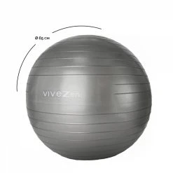 VIVEZEN Ballon De Yoga, Fitness, Gymnastique - Diam 65 Cm -SPEEDO SHOP unnamed file 779