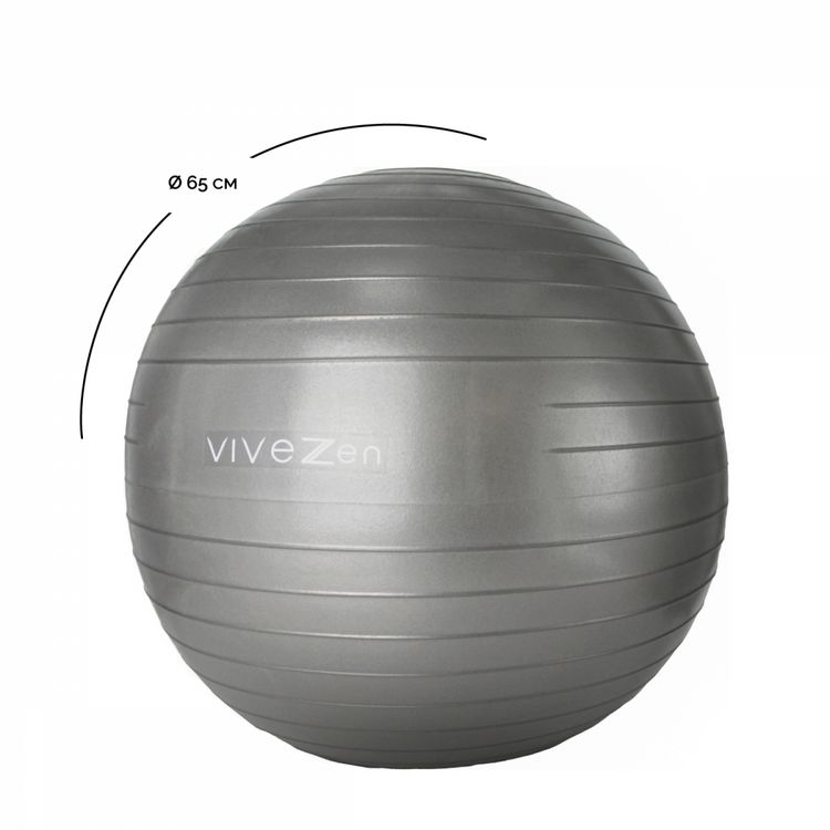 VIVEZEN Ballon de yoga, fitness, gymnastique - Diam 65 cm VIVEZEN Ballon De Yoga, Fitness, Gymnastique - Diam 65 Cm -SPEEDO SHOP unnamed file 779