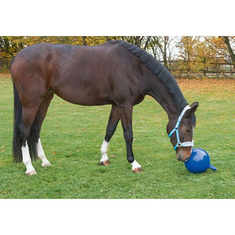 KERBL Kerbl Balle de jeu pour chevaux Bleu 25 cm 32399 KERBL Kerbl Balle De Jeu Pour Chevaux Bleu 25 Cm 32399 -SPEEDO SHOP unnamed file 885